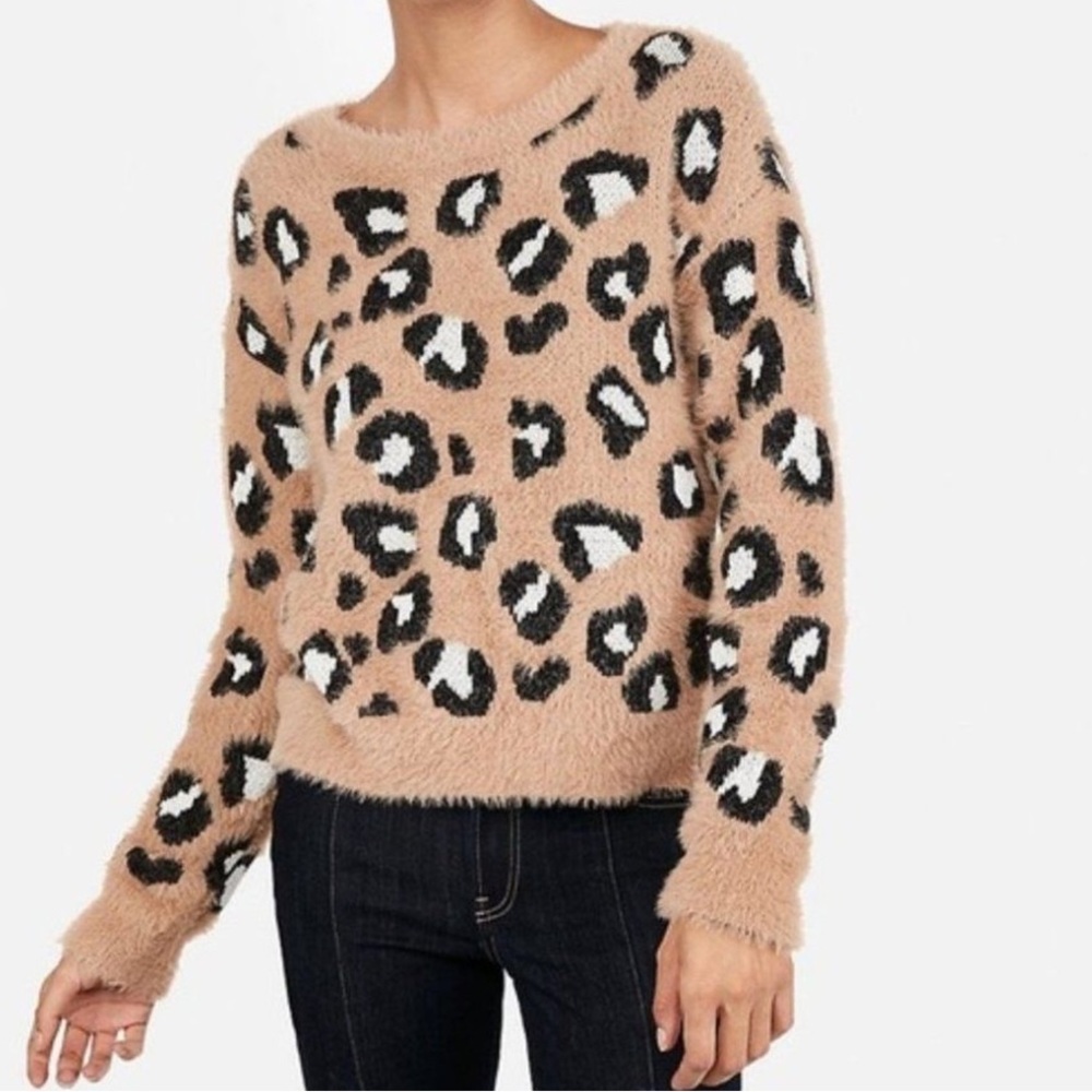 🌟HP🌟Express Leopard Eyelash Sweater